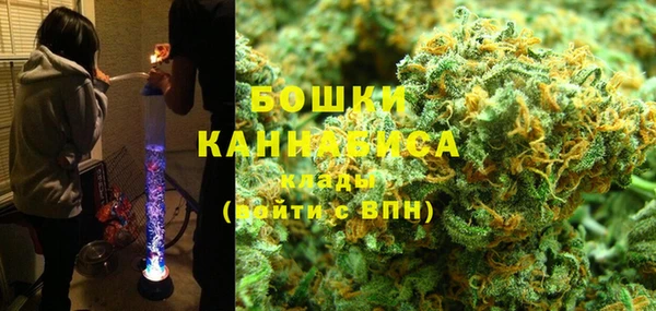 винт Лагань