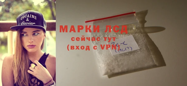 винт Лагань