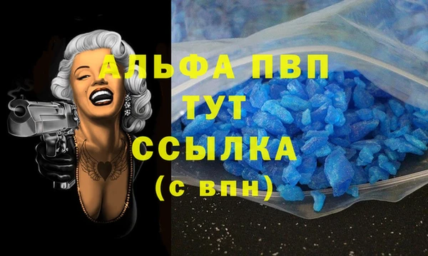 винт Лагань