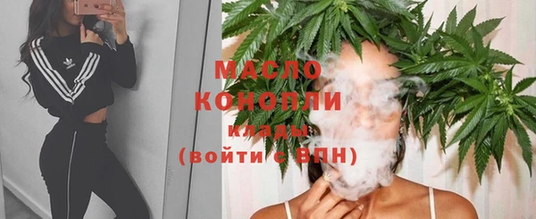 винт Лагань
