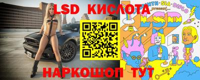 мяу мяу мука Кулебаки
