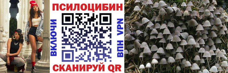 Галлюциногенные грибы Cubensis Сургут