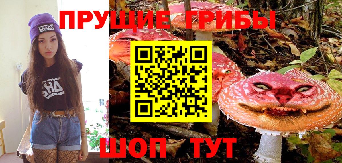 Сургут  Псилоцибиновые грибы Cubensis  Вход с VPN 