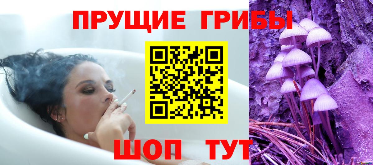 Псилоцибиновые грибы GOLDEN TEACHER Сургут